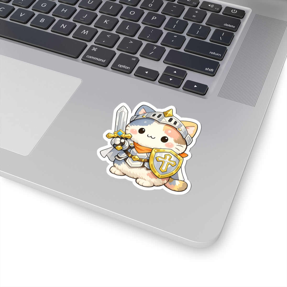 Paladin | Campaign Cats